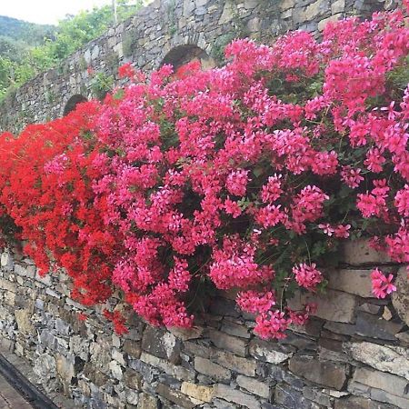 Villa Olivari - Apt La Lavanda Camogli Dış mekan fotoğraf