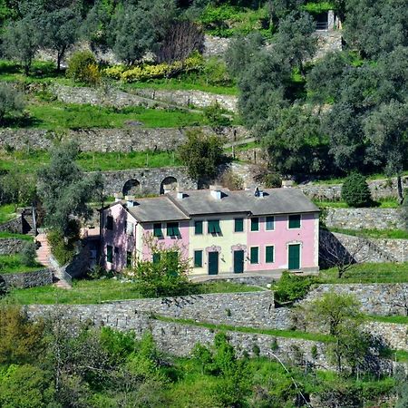 Villa Olivari - Apt La Lavanda Camogli Dış mekan fotoğraf