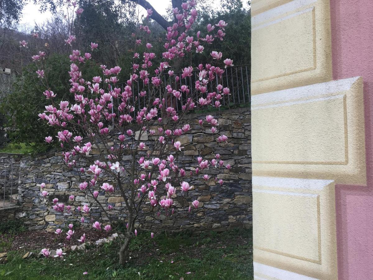 Villa Olivari - Apt La Lavanda Camogli Dış mekan fotoğraf