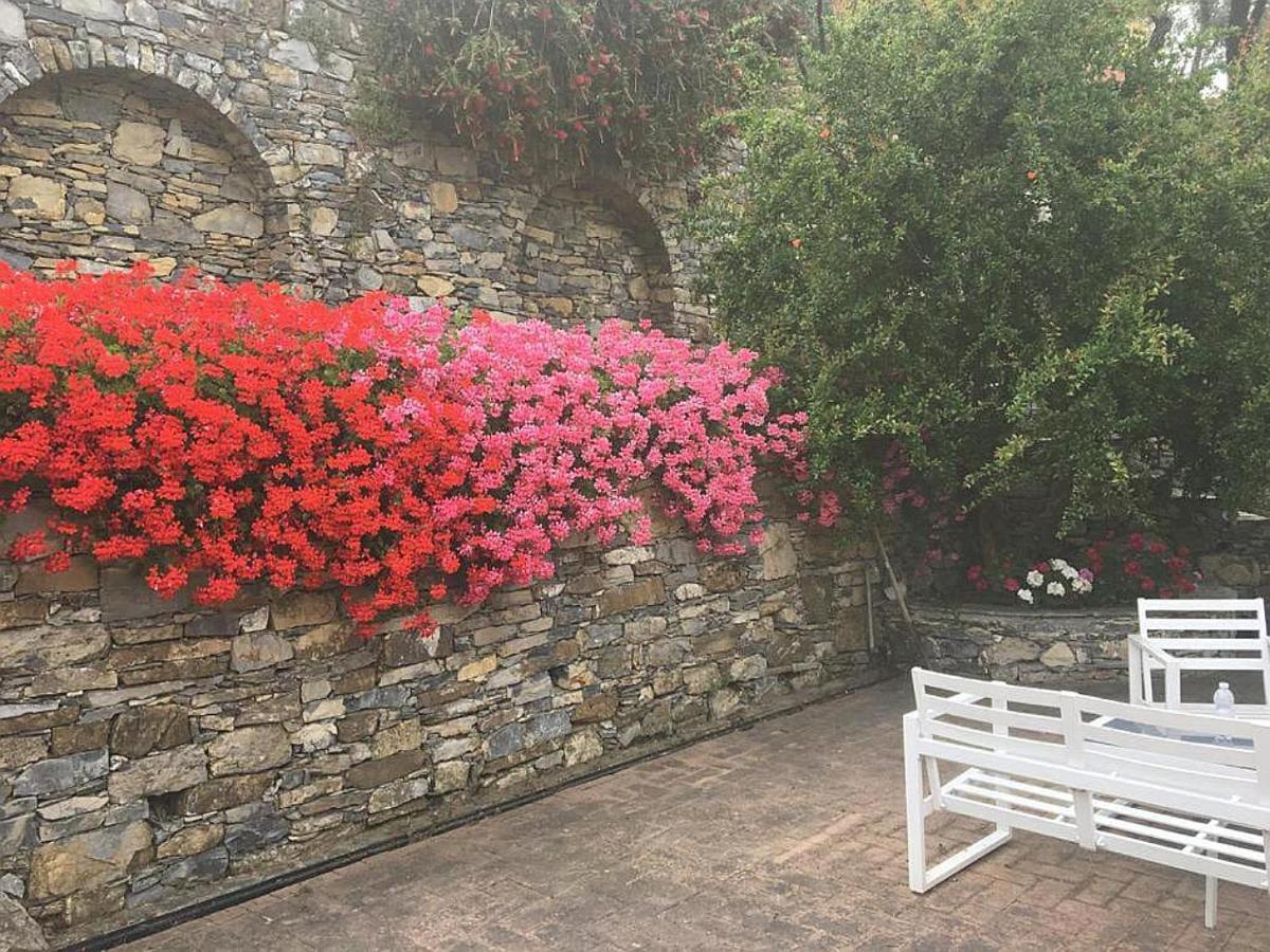 Villa Olivari - Apt La Lavanda Camogli Dış mekan fotoğraf