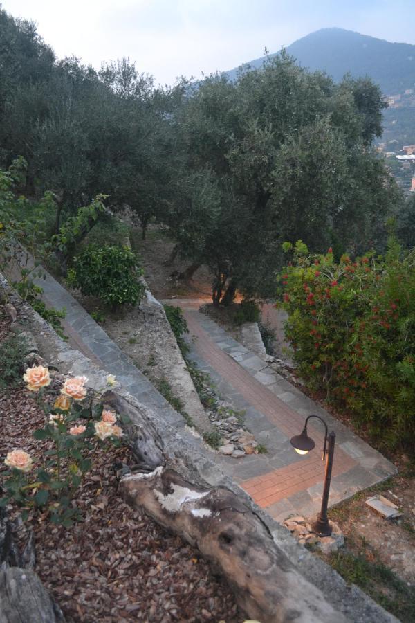 Villa Olivari - Apt La Lavanda Camogli Dış mekan fotoğraf