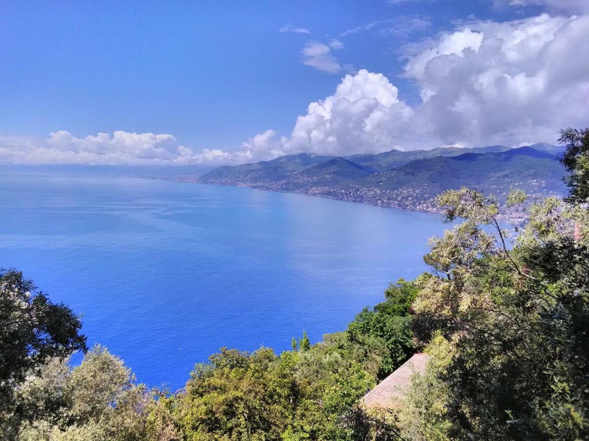 Villa Olivari - Apt La Lavanda Camogli Dış mekan fotoğraf