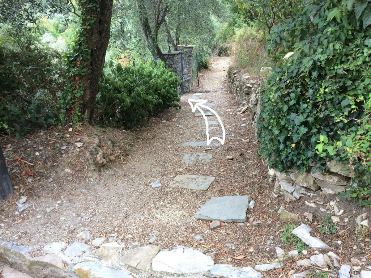 Villa Olivari - Apt La Lavanda Camogli Dış mekan fotoğraf