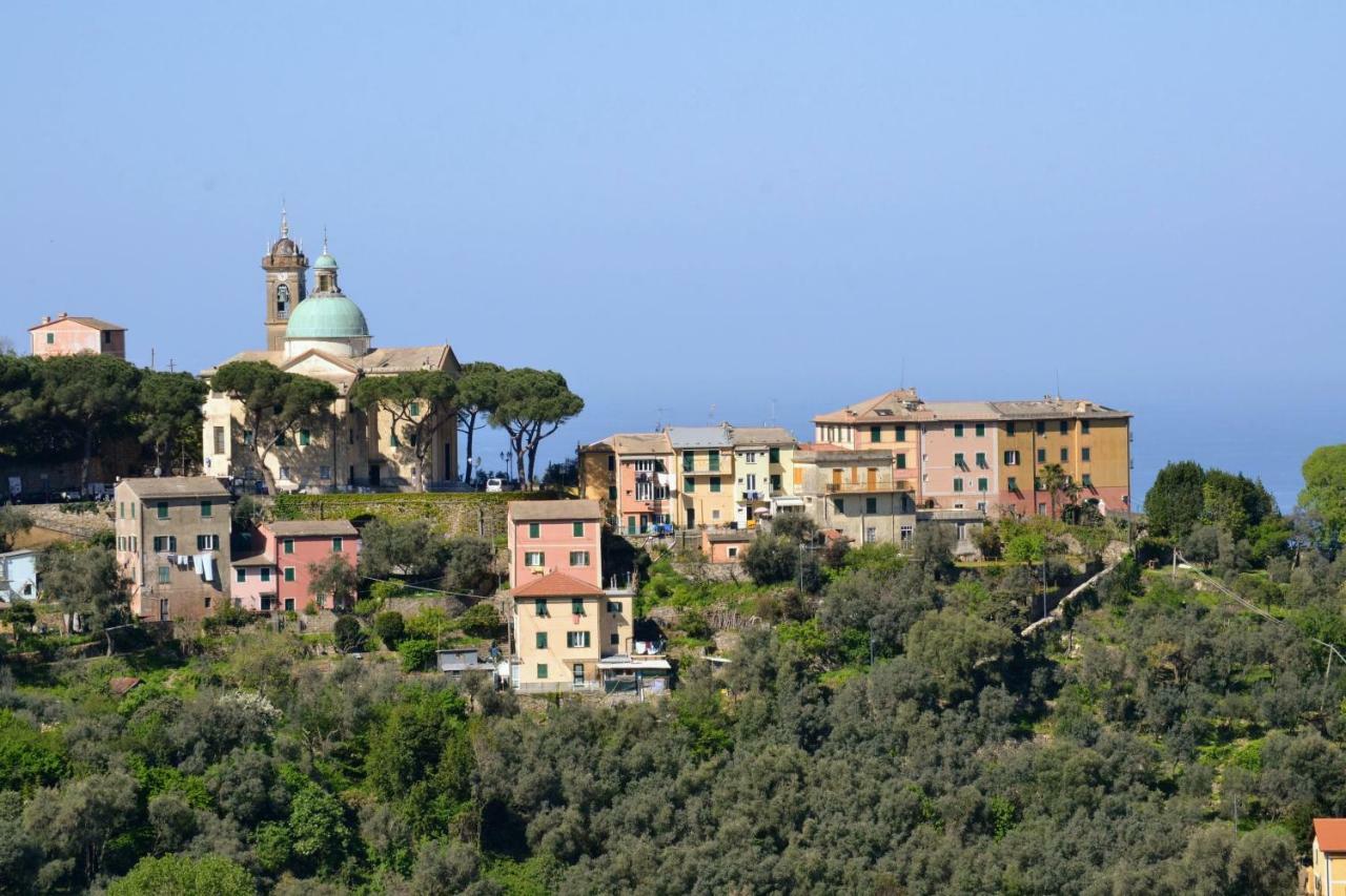Villa Olivari - Apt La Lavanda Camogli Dış mekan fotoğraf
