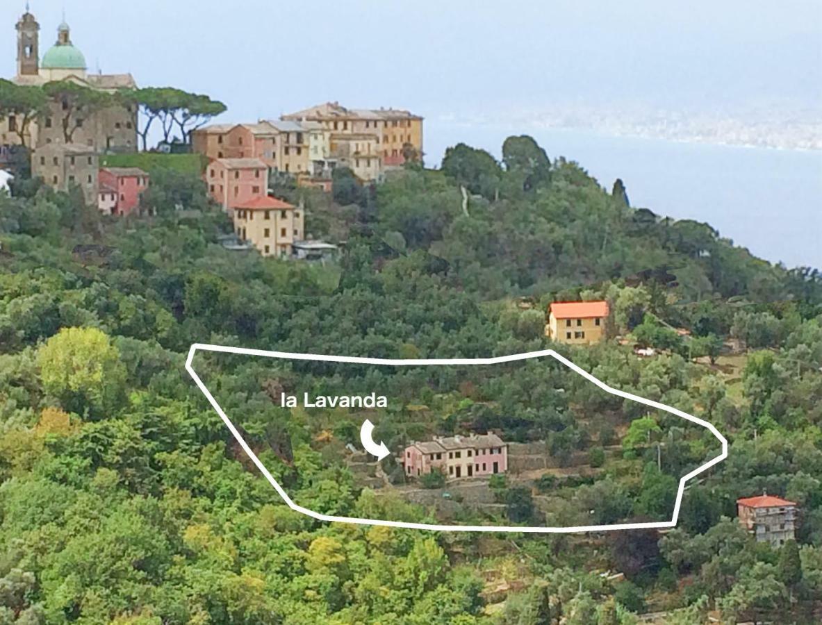 Villa Olivari - Apt La Lavanda Camogli Dış mekan fotoğraf