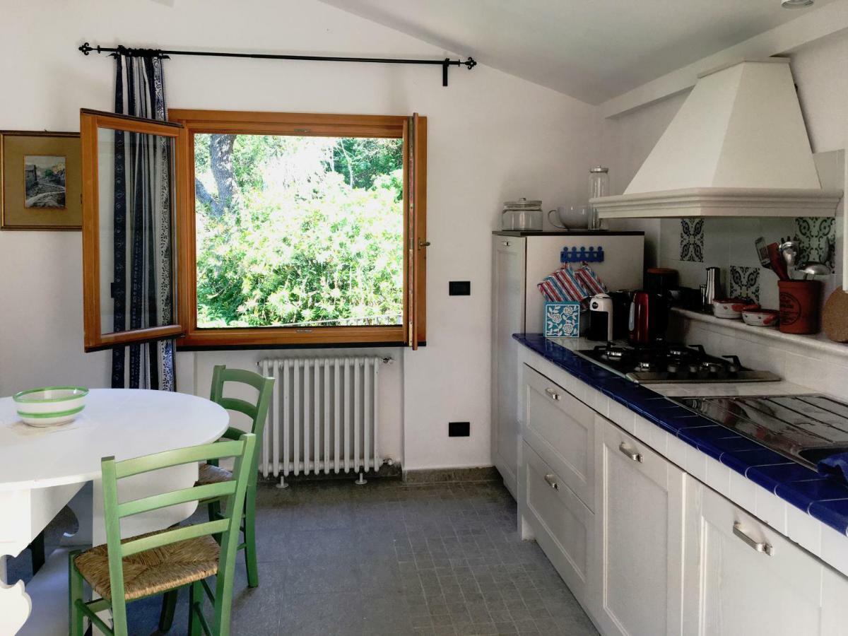 Villa Olivari - Apt La Lavanda Camogli Dış mekan fotoğraf
