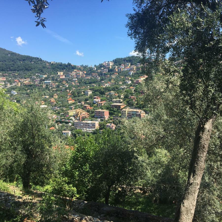 Villa Olivari - Apt La Lavanda Camogli Dış mekan fotoğraf