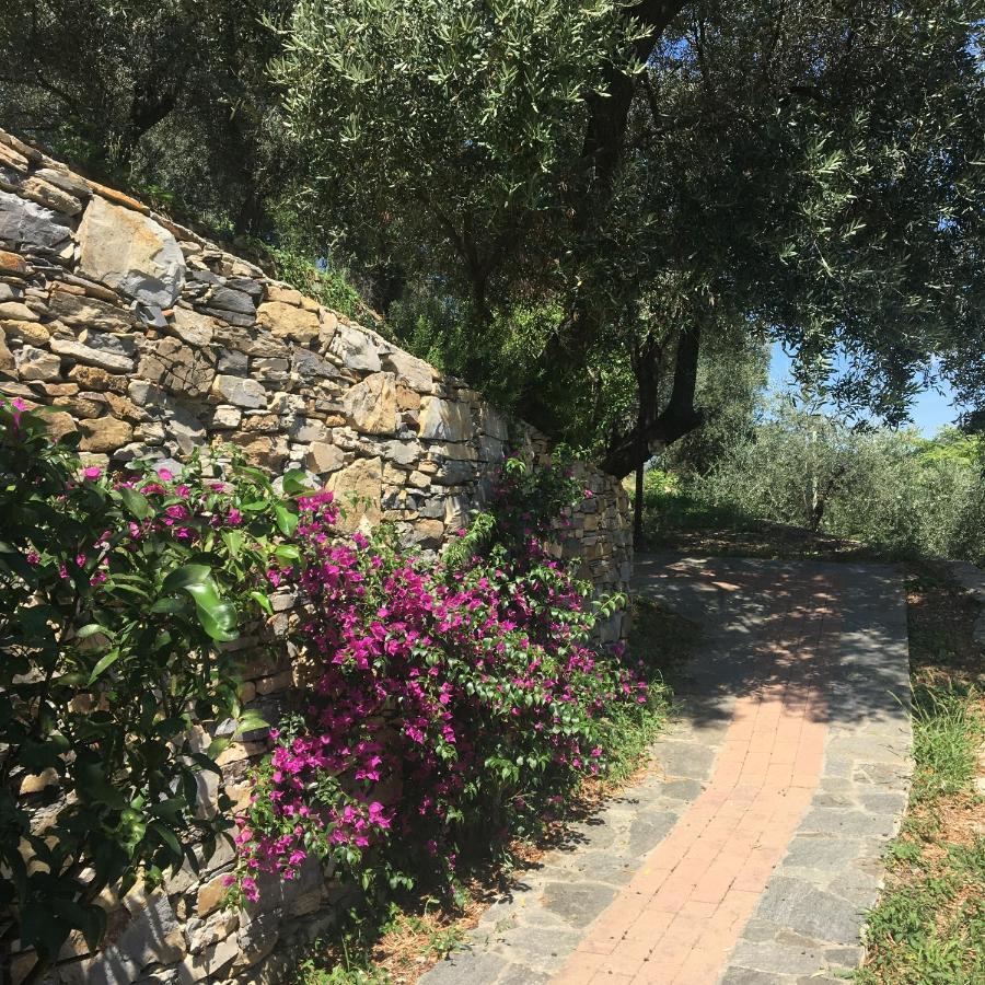 Villa Olivari - Apt La Lavanda Camogli Dış mekan fotoğraf